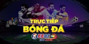 Trực tiếp bóng đá - Nhà cái uy tín EE88