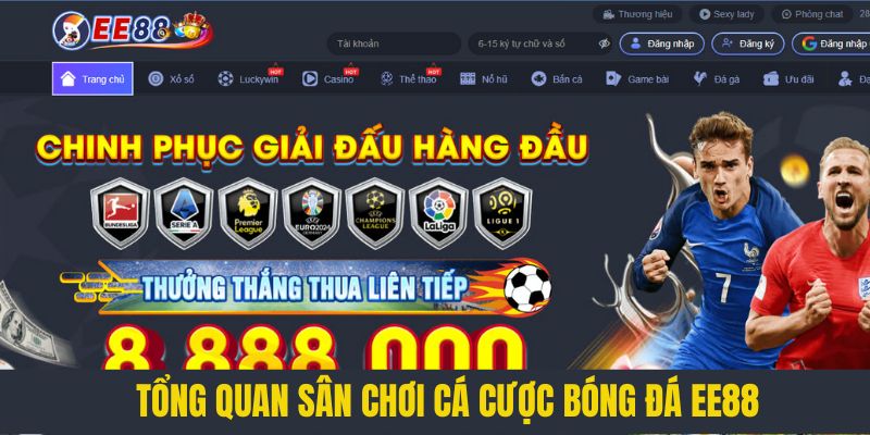 Tổng quan sân chơi cá cược bóng đá EE88